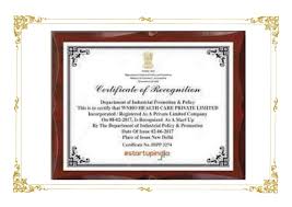 WNHO Franchise: Healing Before Hospitalisation startup cert